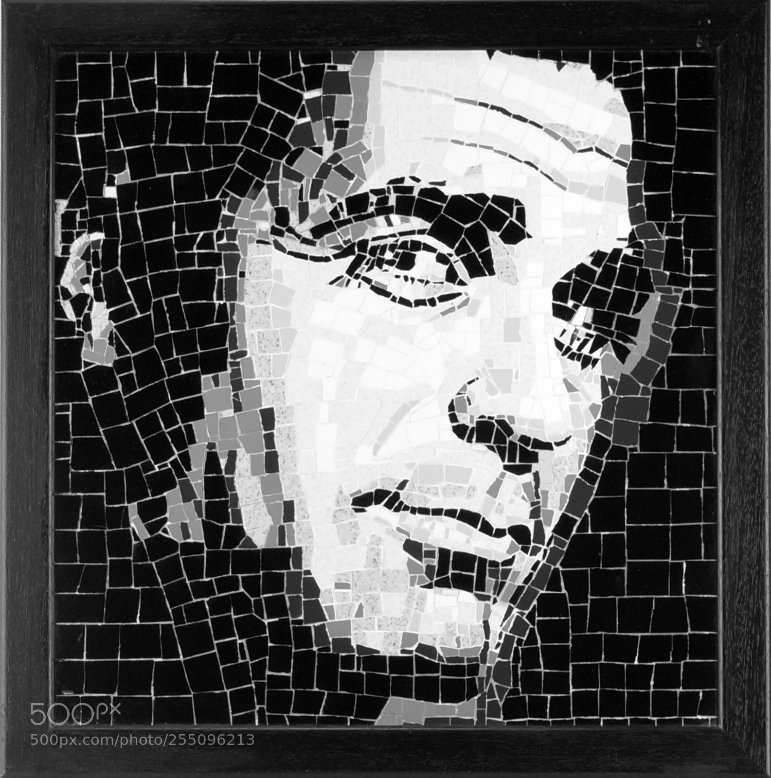 Sony SLT-A65 (SLT-A65V) sample photo. Mosaic art project photography