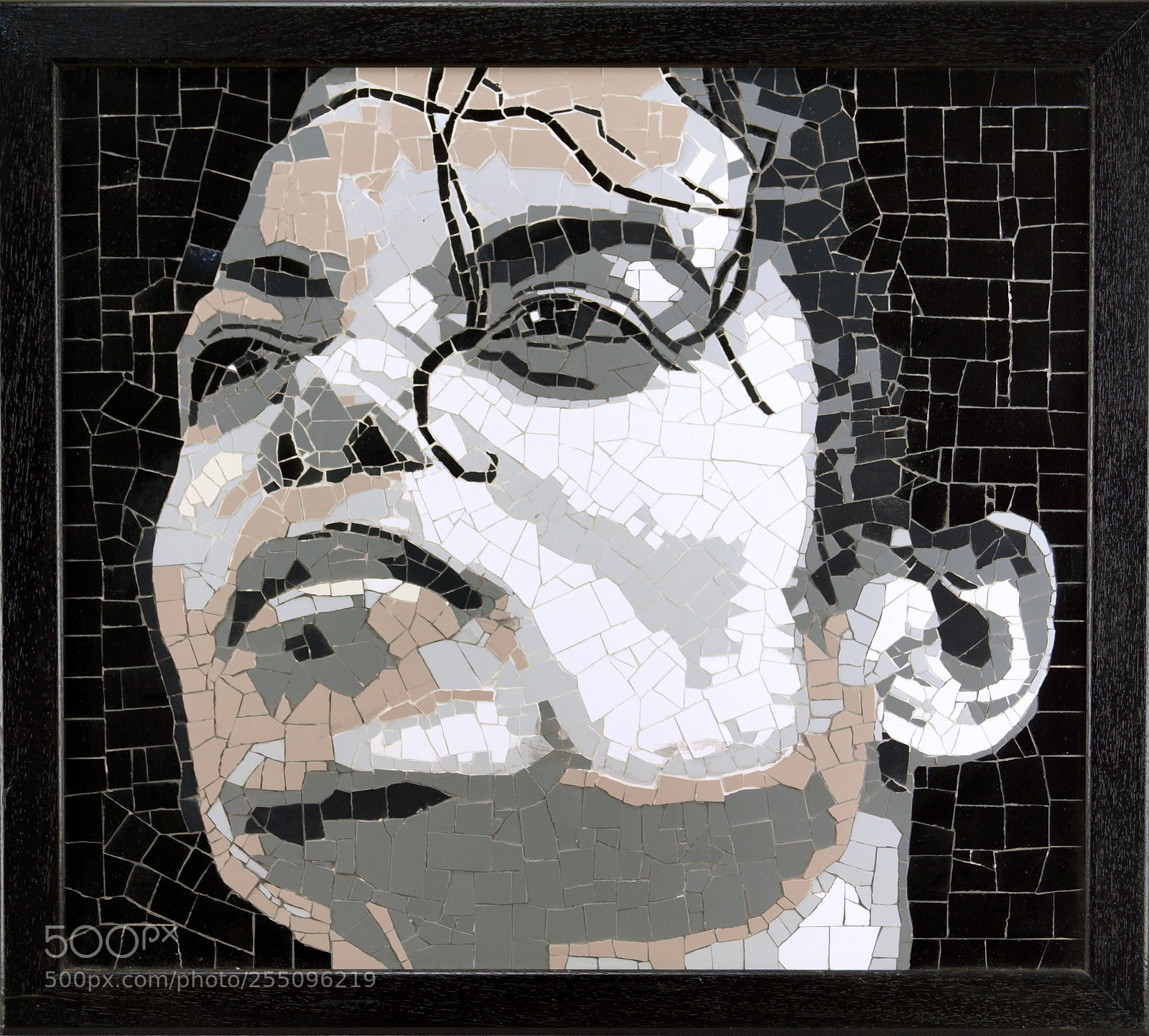 Sony SLT-A65 (SLT-A65V) sample photo. Mosaic art project photography