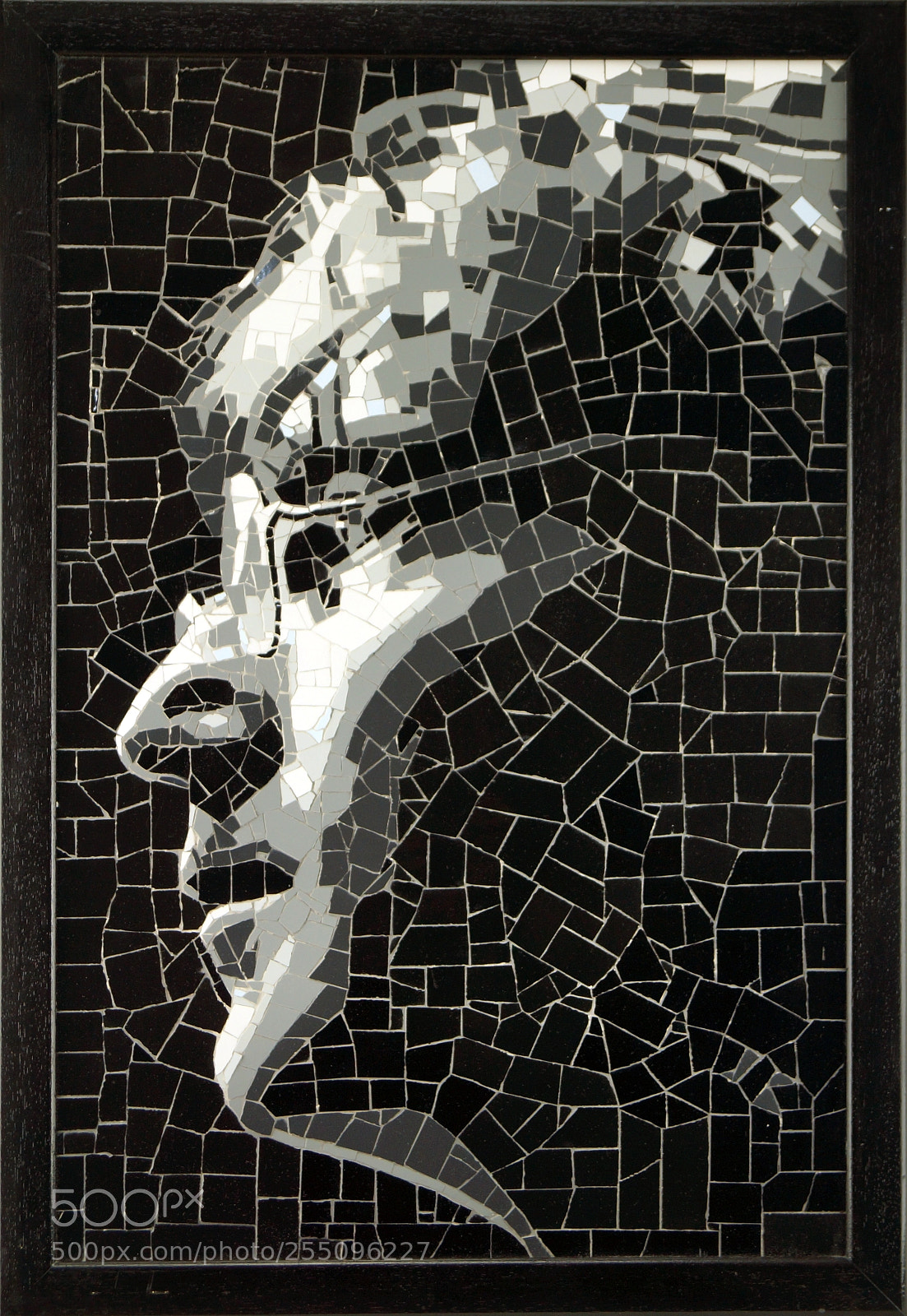 Sony SLT-A65 (SLT-A65V) sample photo. Mosaic art project photography