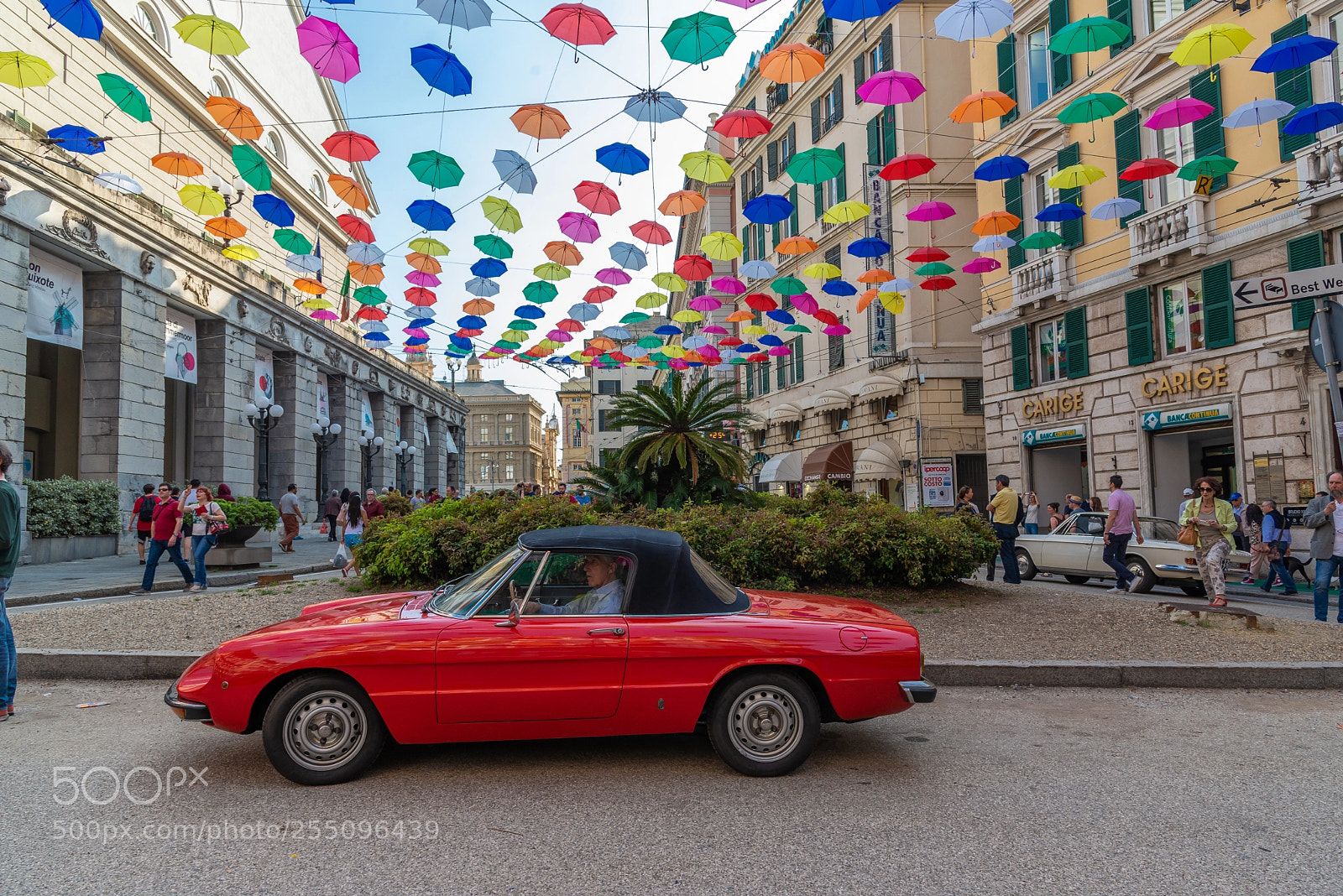 Nikon D610 sample photo. Under the umbrellas photography