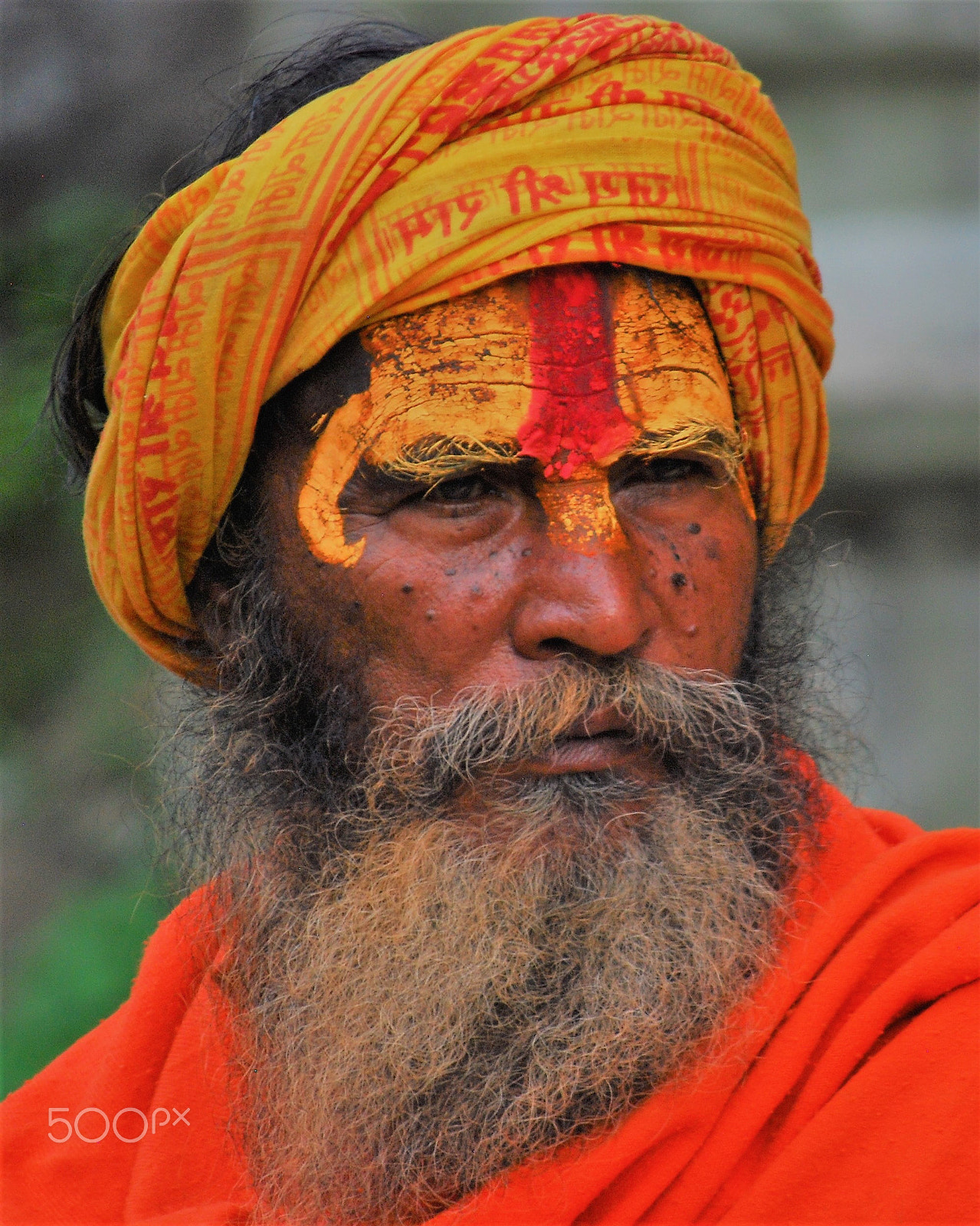 Nikon D80 sample photo. Holy photography
