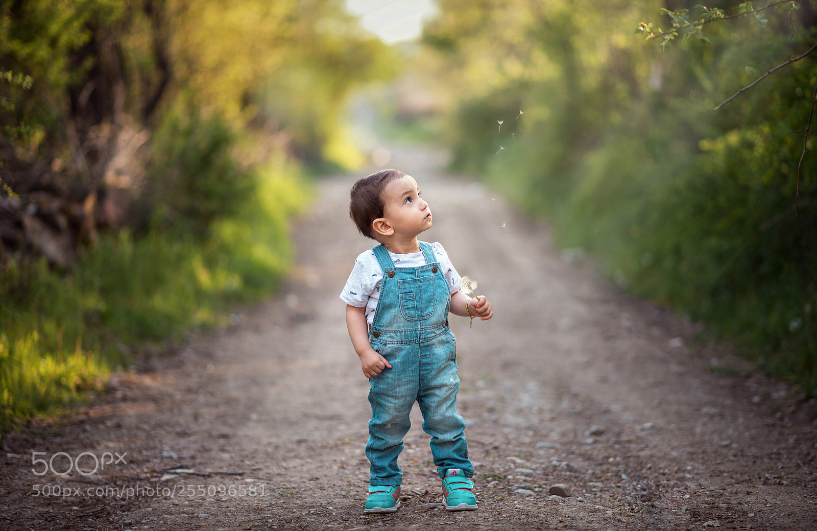 Nikon D610 sample photo. Spring photography