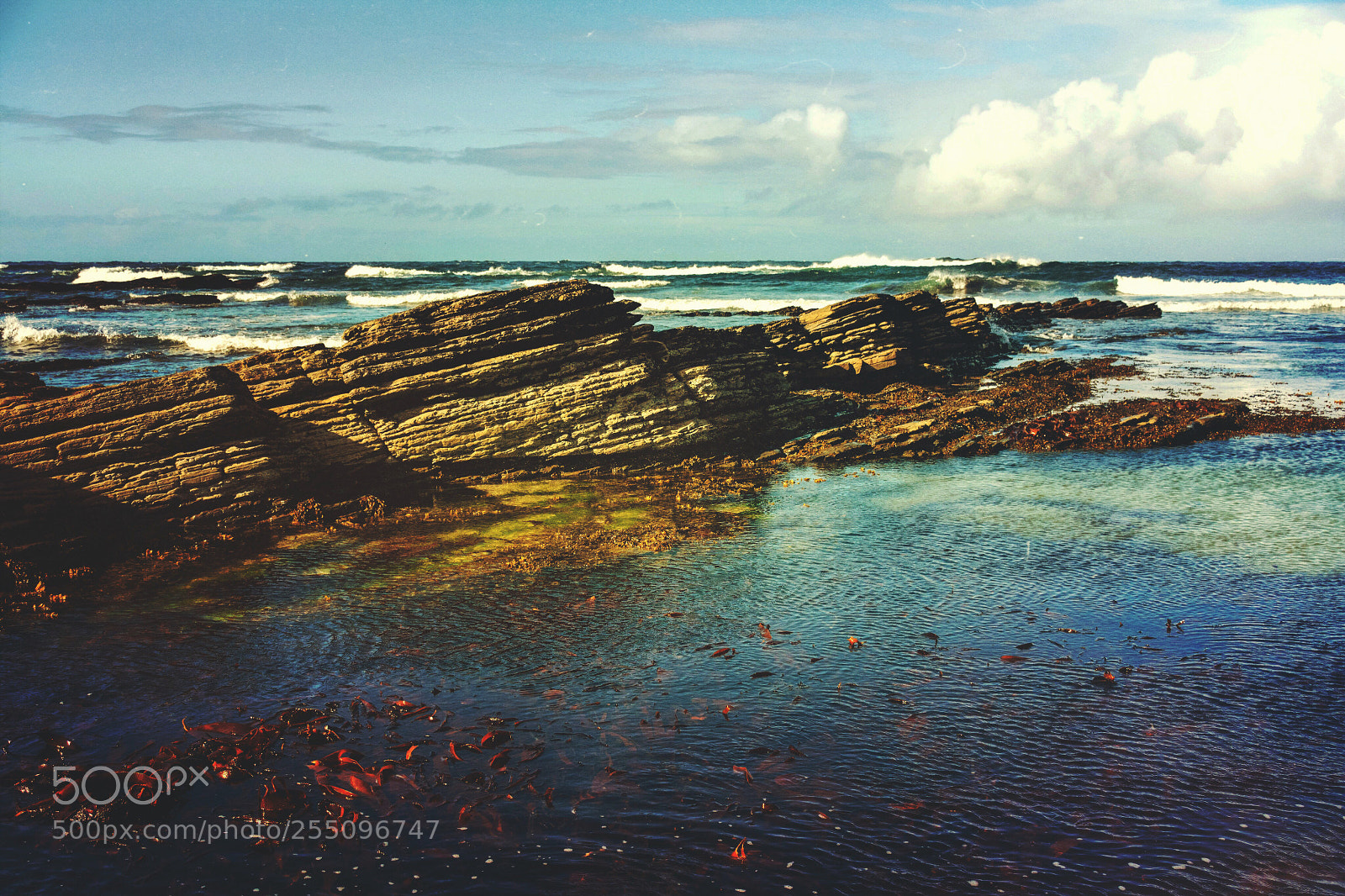 Nikon D5500 sample photo. Spring at birsay photography
