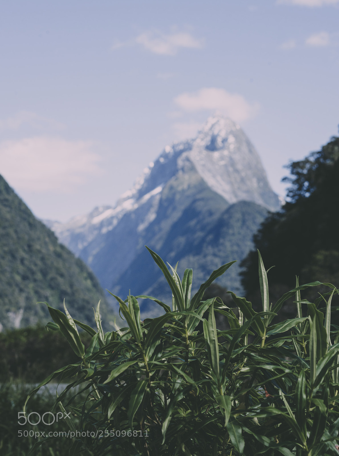 Sony a7R II sample photo. Looming mountain photography