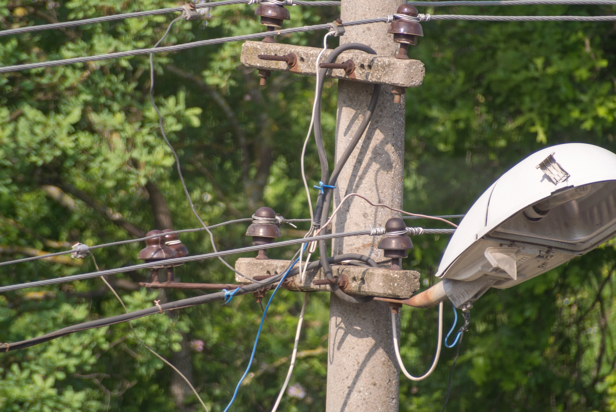 Nikon 1 J1 sample photo. Urban electricity pole photography