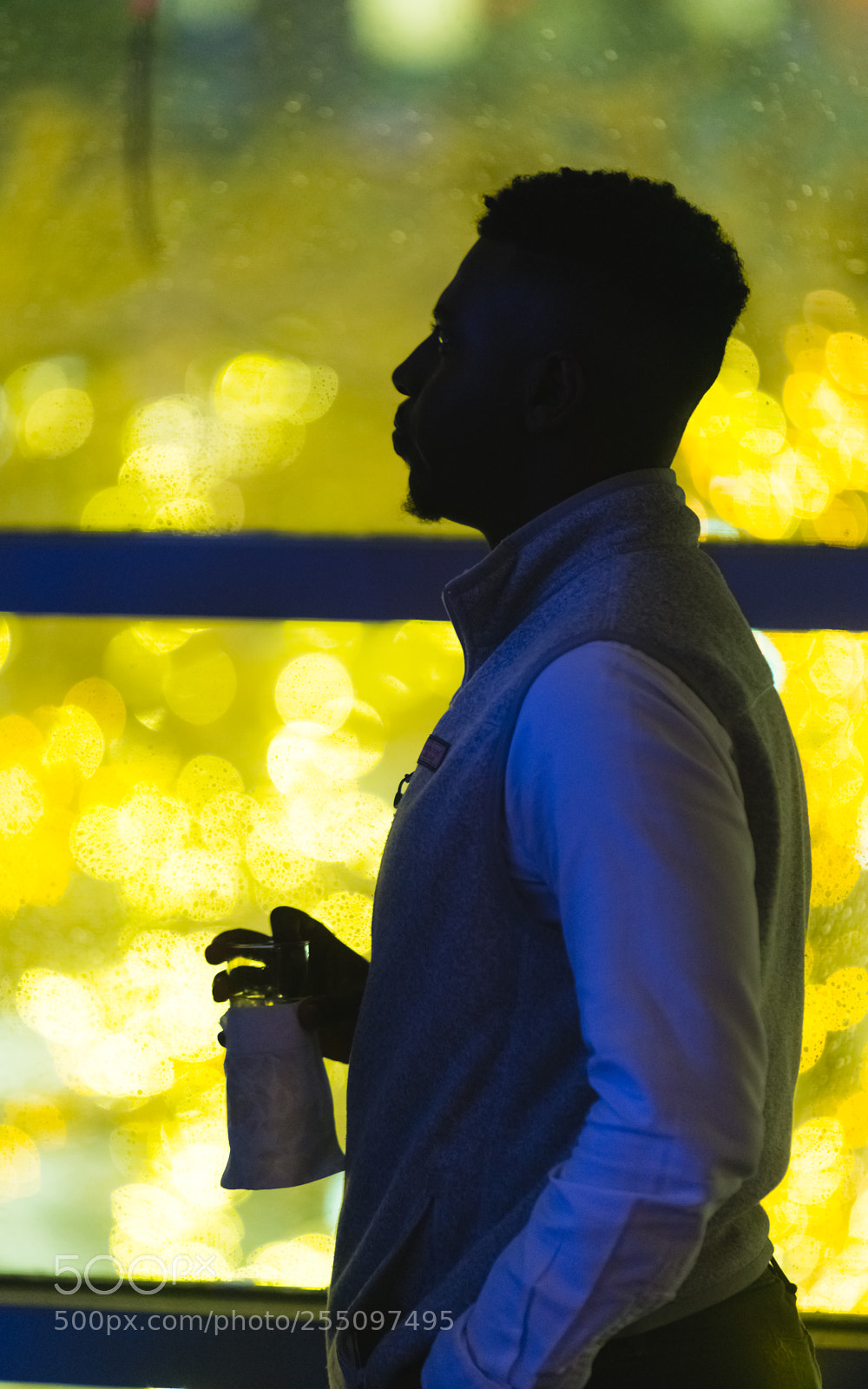 Sony a7R II sample photo. Boston in the background photography