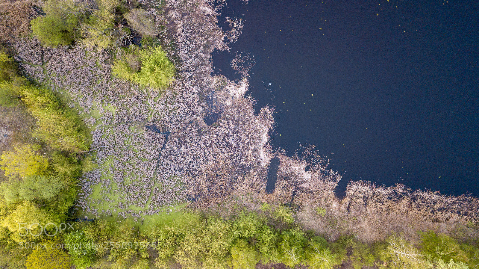 DJI FC220 sample photo. Narew river photography