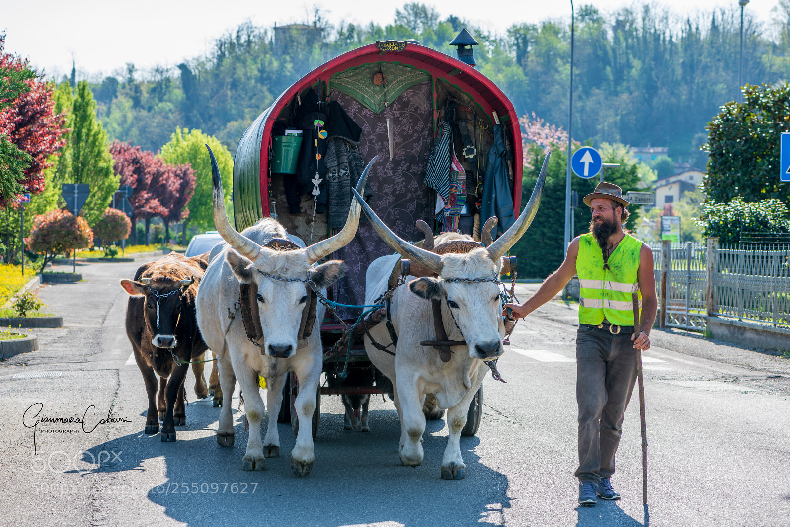 Nikon D850 sample photo. Strani incontri photography