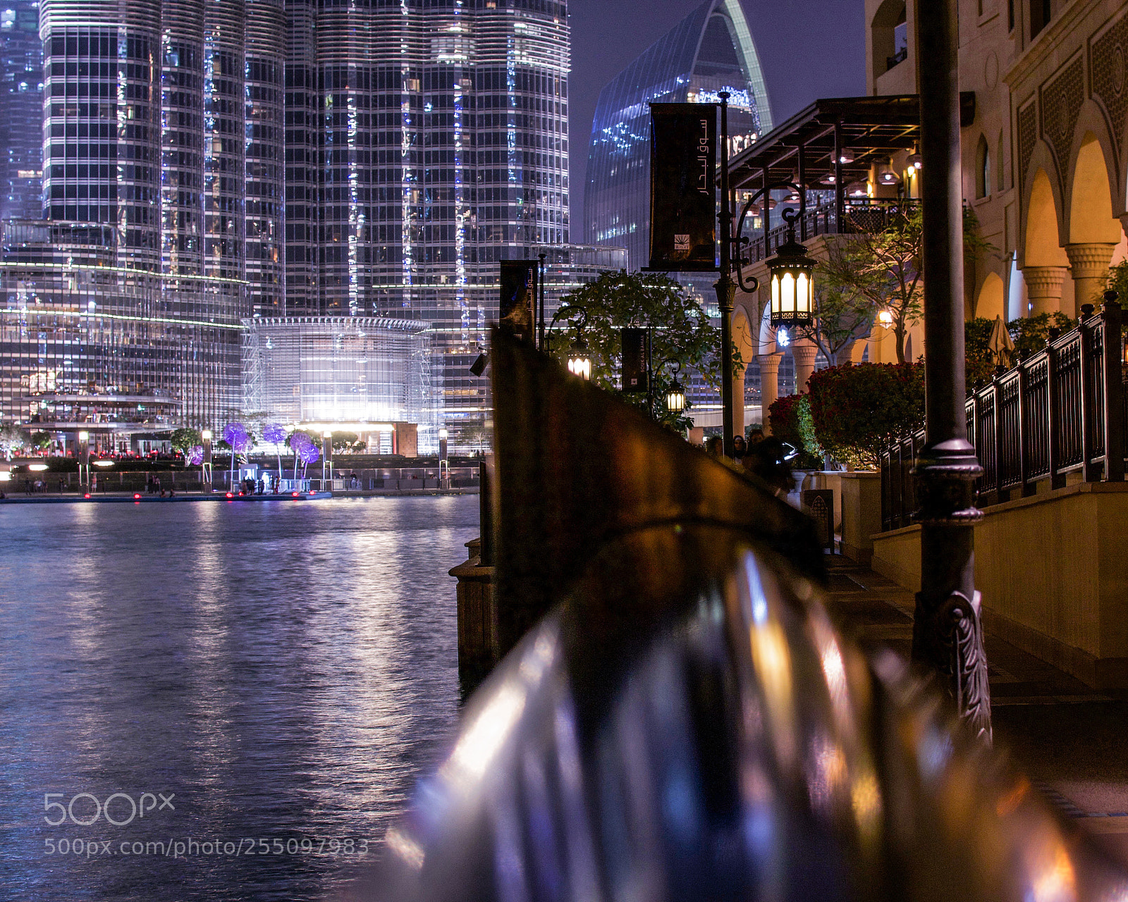 Nikon D3100 sample photo. Untitled photography