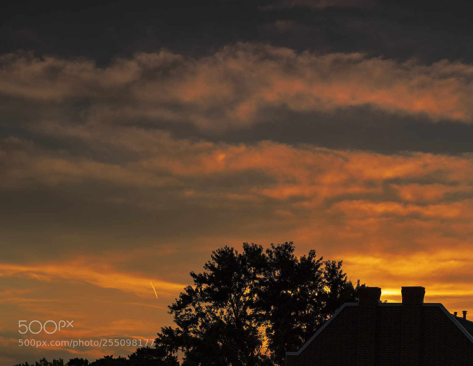 Canon EOS 760D (EOS Rebel T6s / EOS 8000D) sample photo. Sunrise potpourri photography