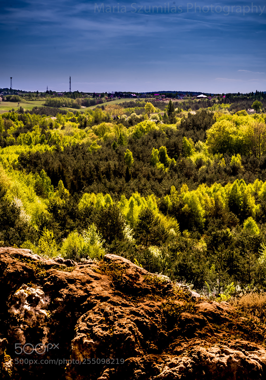 Nikon D7100 sample photo. Let me hear your photography