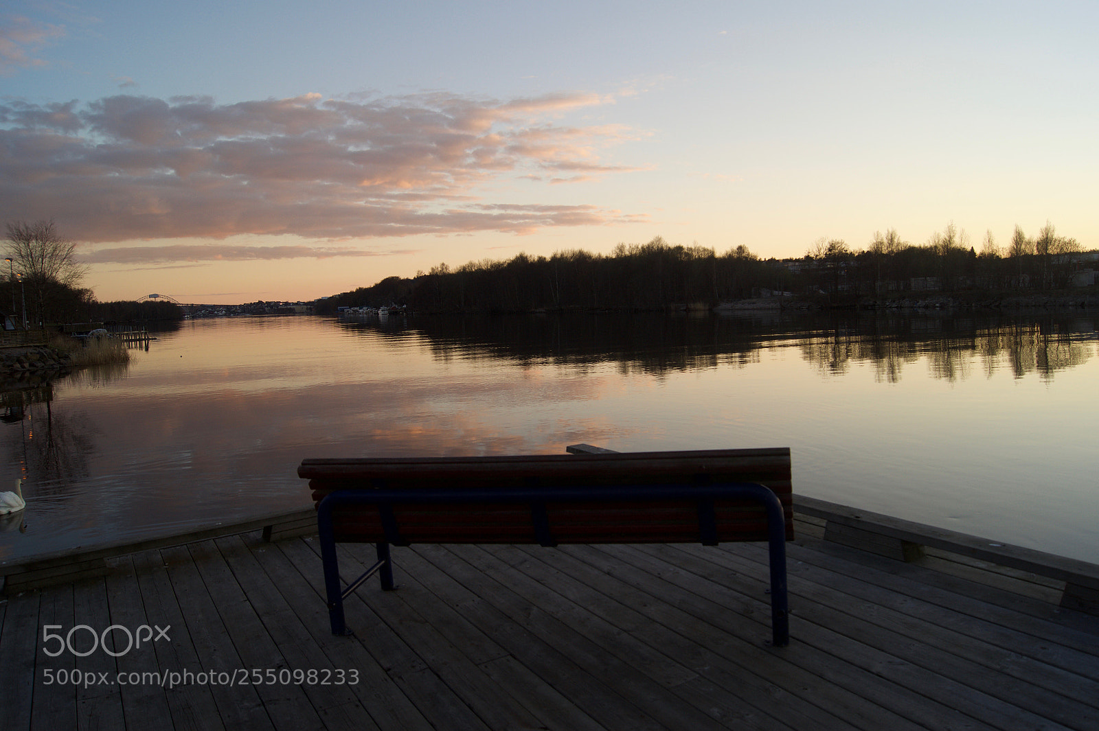 Sony SLT-A58 sample photo. Dsc photography