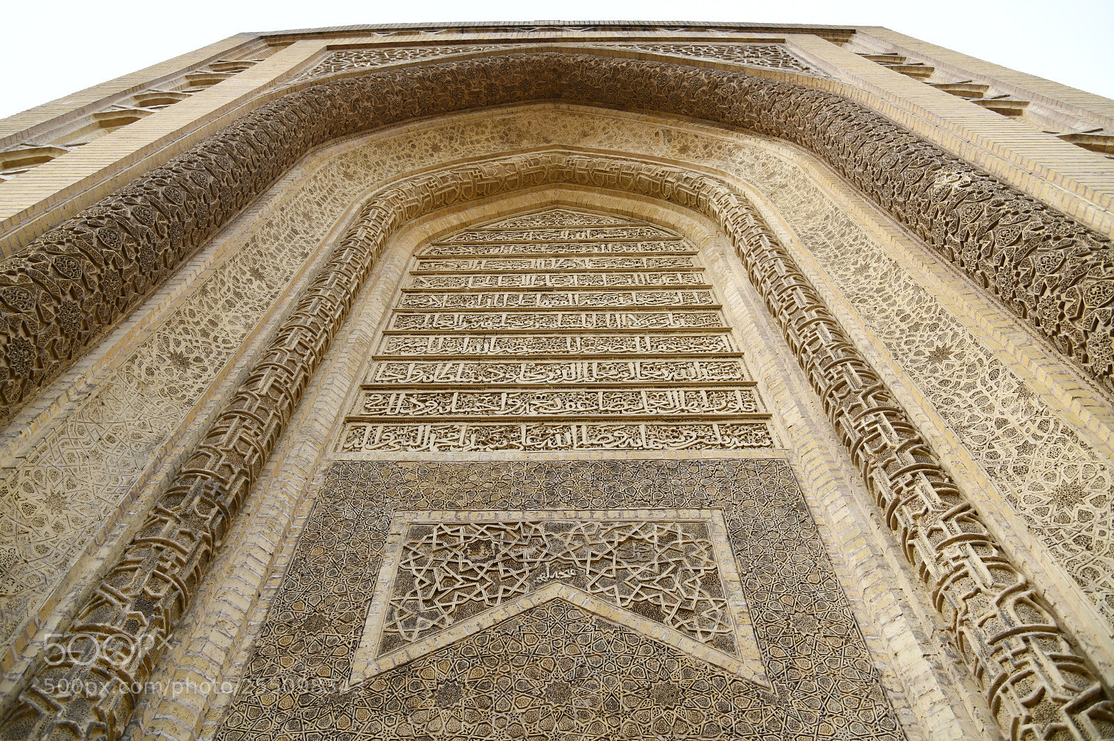Nikon D850 sample photo. Untitled photography