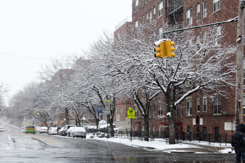 Canon EOS 1200D (EOS Rebel T5 / EOS Kiss X70 / EOS Hi) sample photo. From snowstorms in ny photography