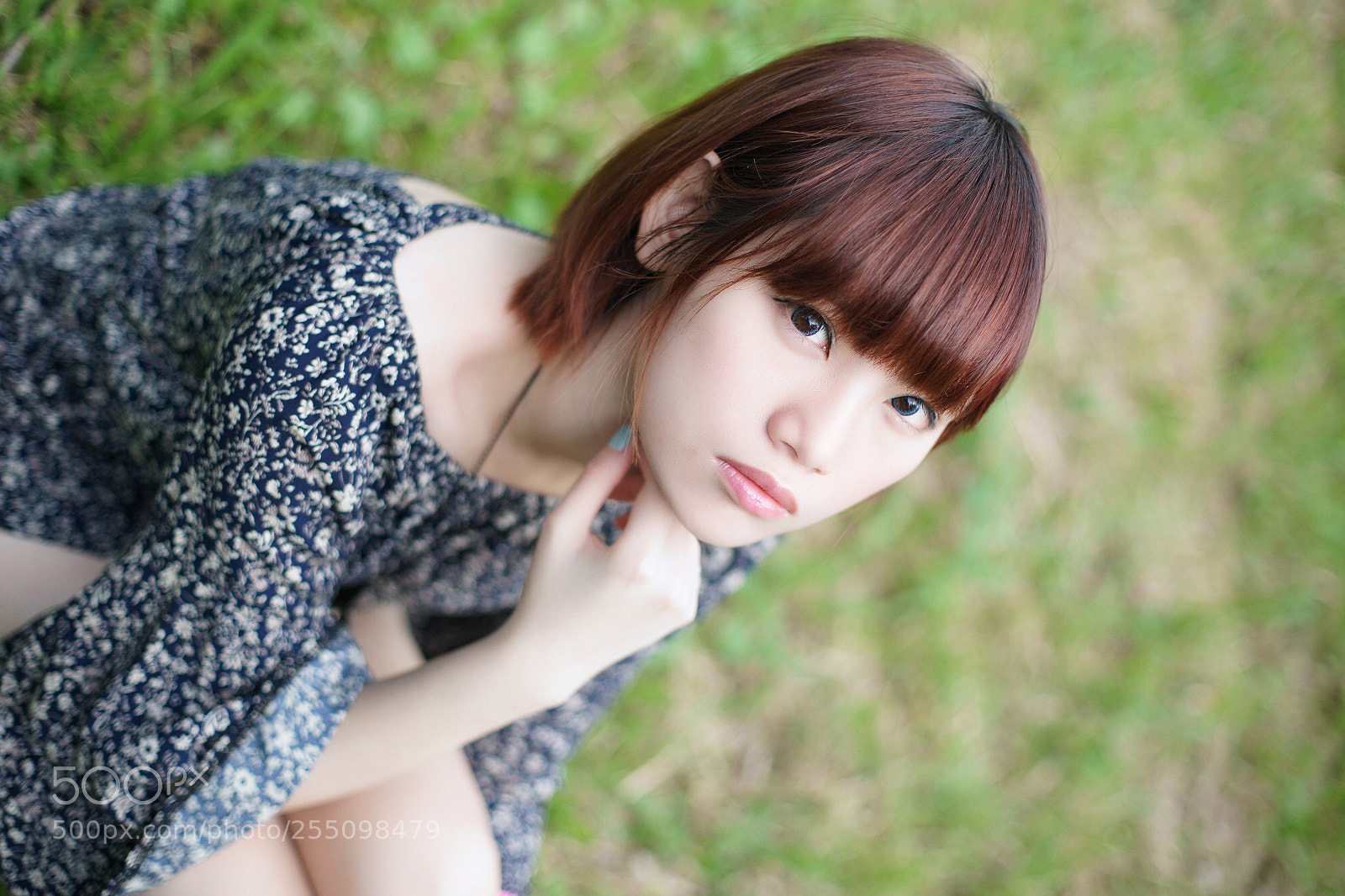 Sony Alpha DSLR-A850 sample photo. Fun photography