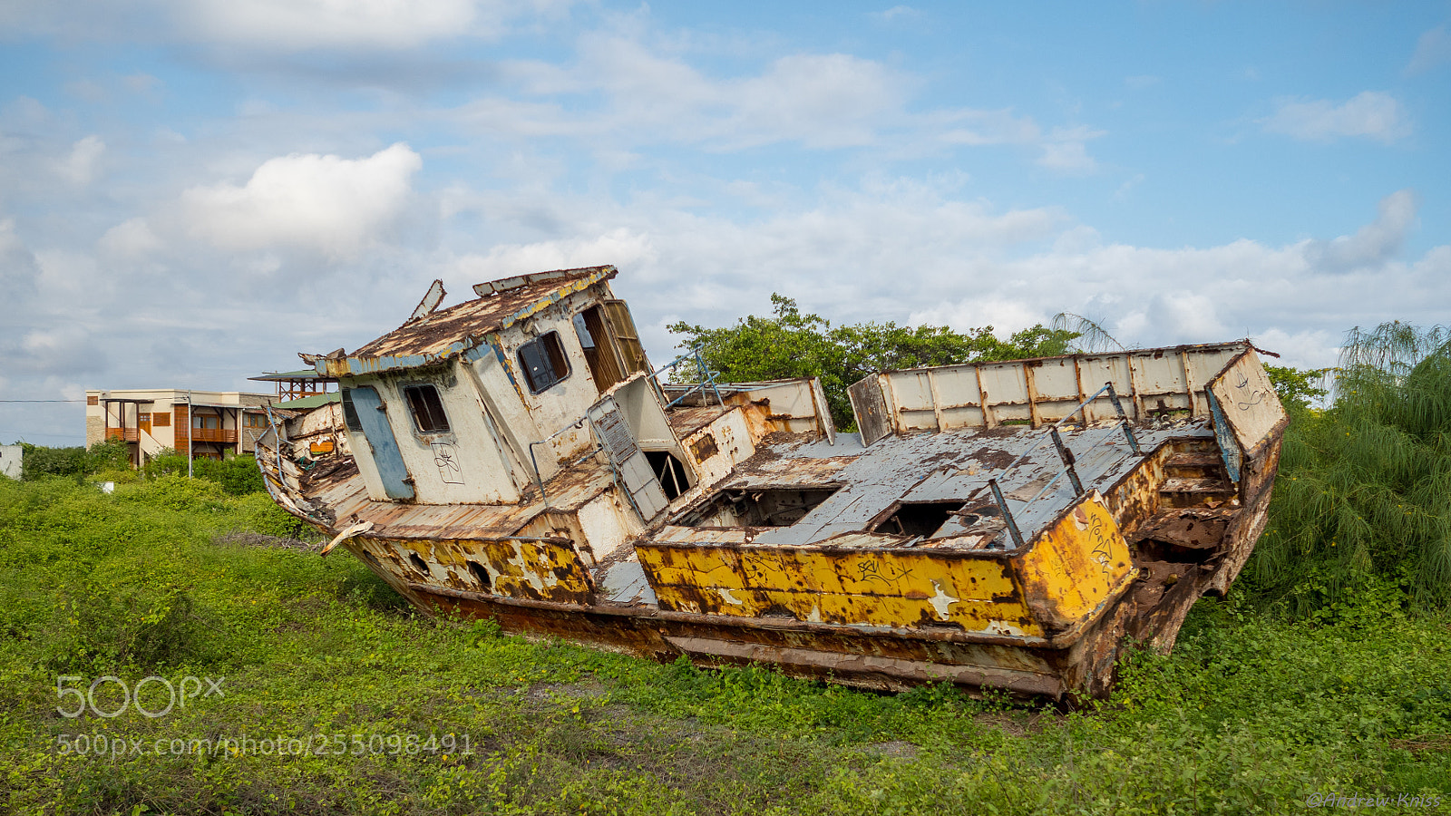 Olympus OM-D E-M5 II sample photo. Not in the water photography