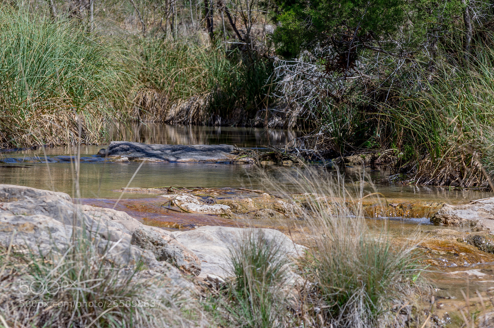 Pentax K-3 II sample photo. Colorado bend springfed stream photography