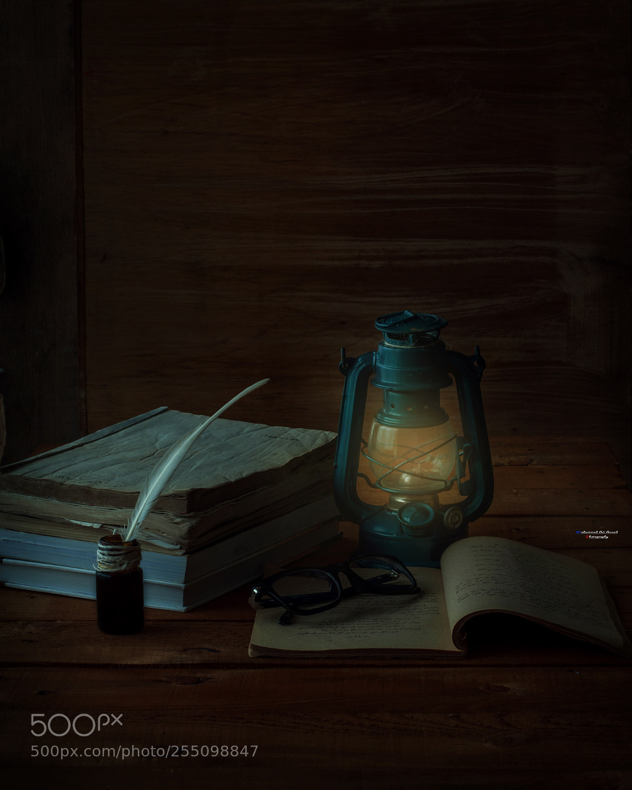 Nikon D90 sample photo. Untitled photography