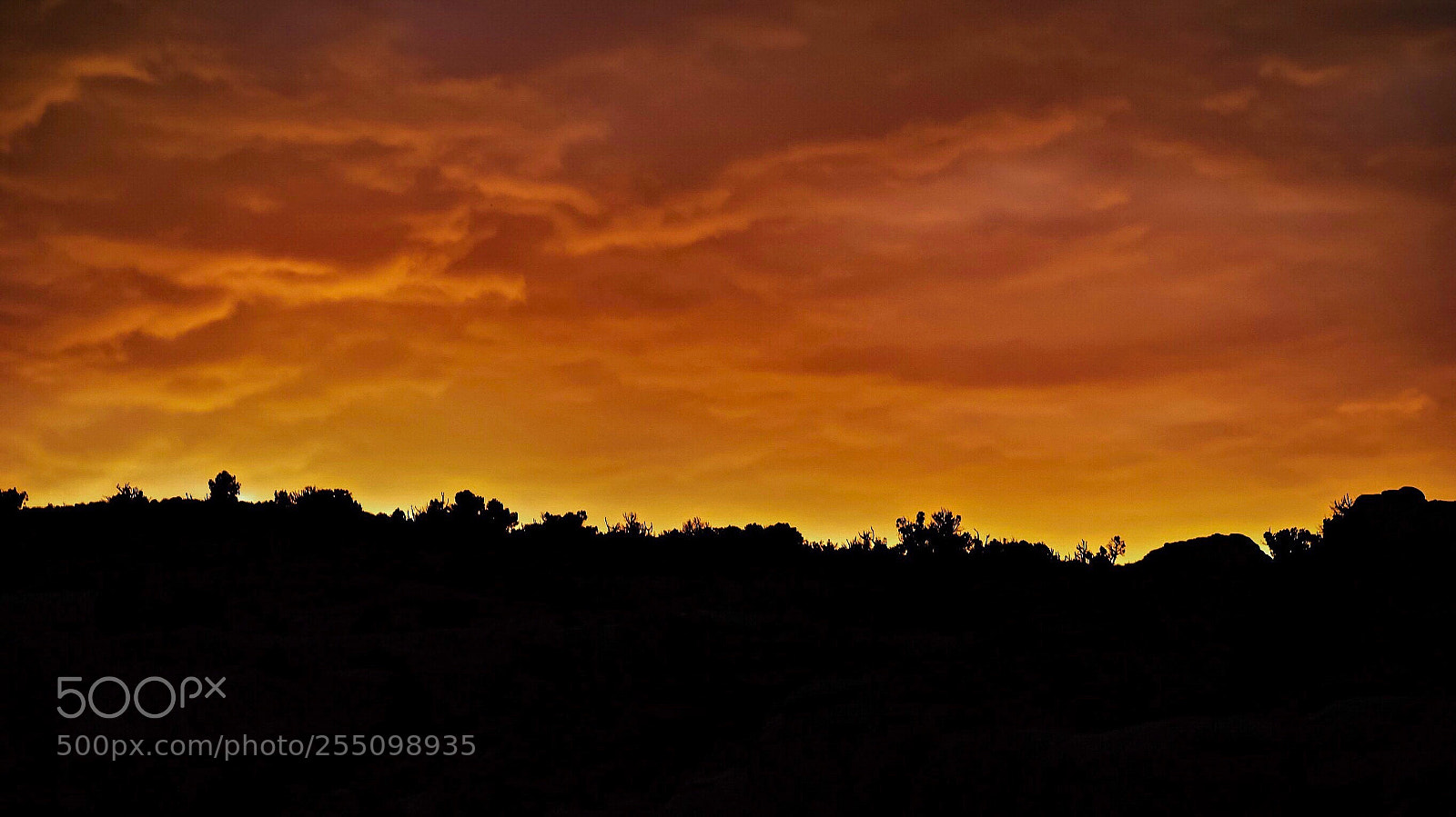 Nikon D5500 sample photo. Desert sunset photography