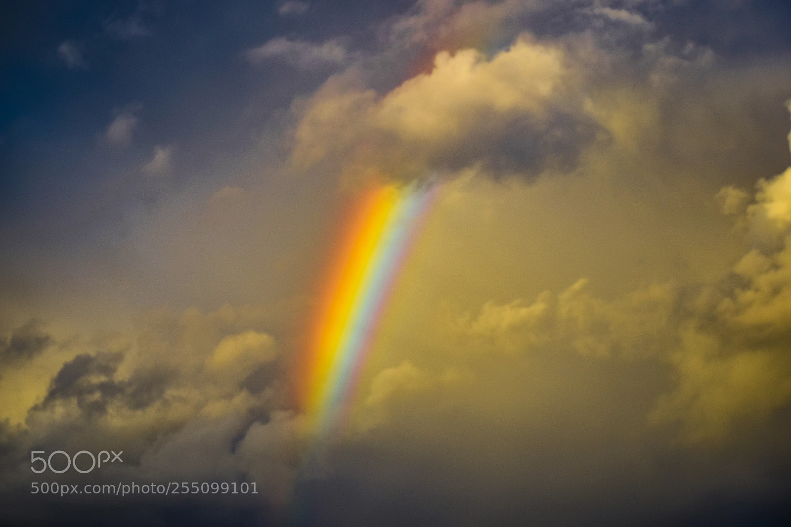 Nikon D5300 sample photo. Arco iris photography