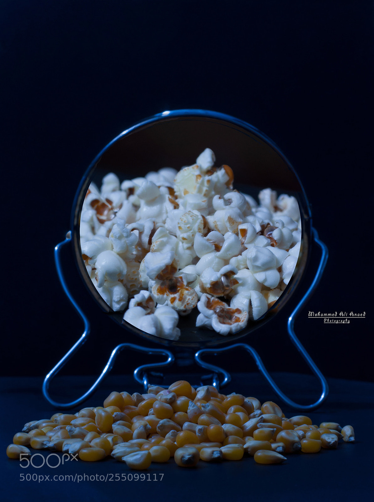 Nikon D90 sample photo. Untitled photography