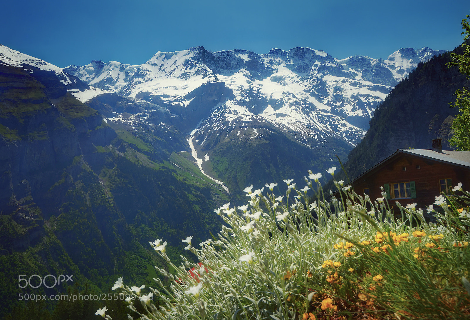 Canon EOS 60D sample photo. Swiss landscape photography