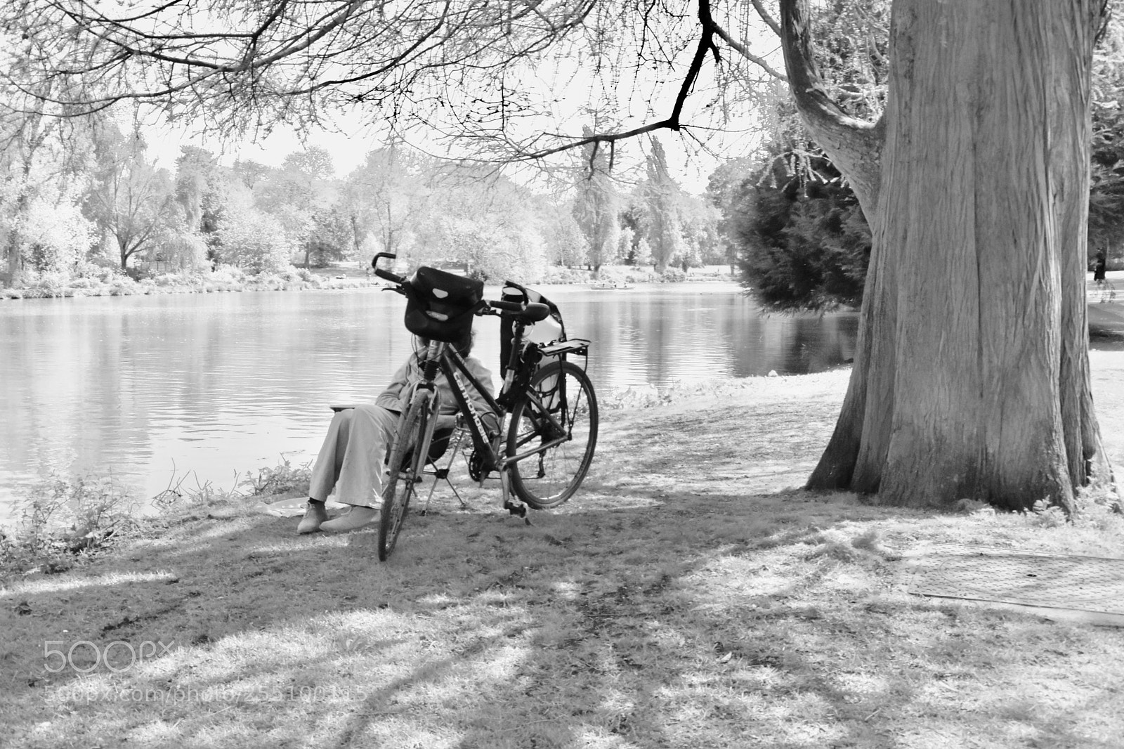 Nikon D3400 sample photo. Iwanttoridemybicycle photography