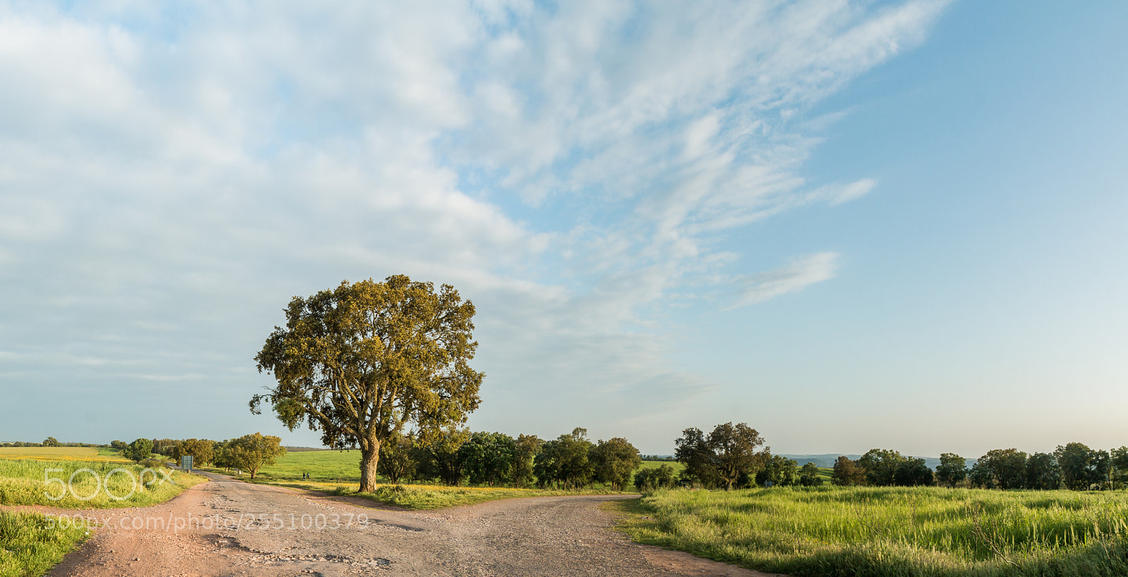 Canon EOS 70D sample photo. Pano photography