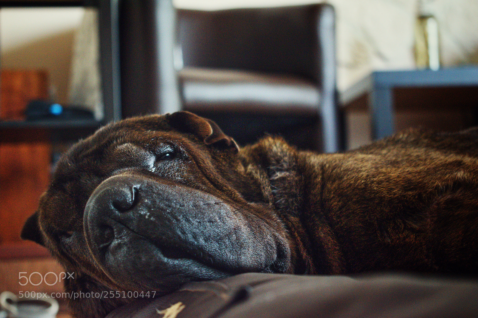 Nikon D5300 sample photo. Baileys photography