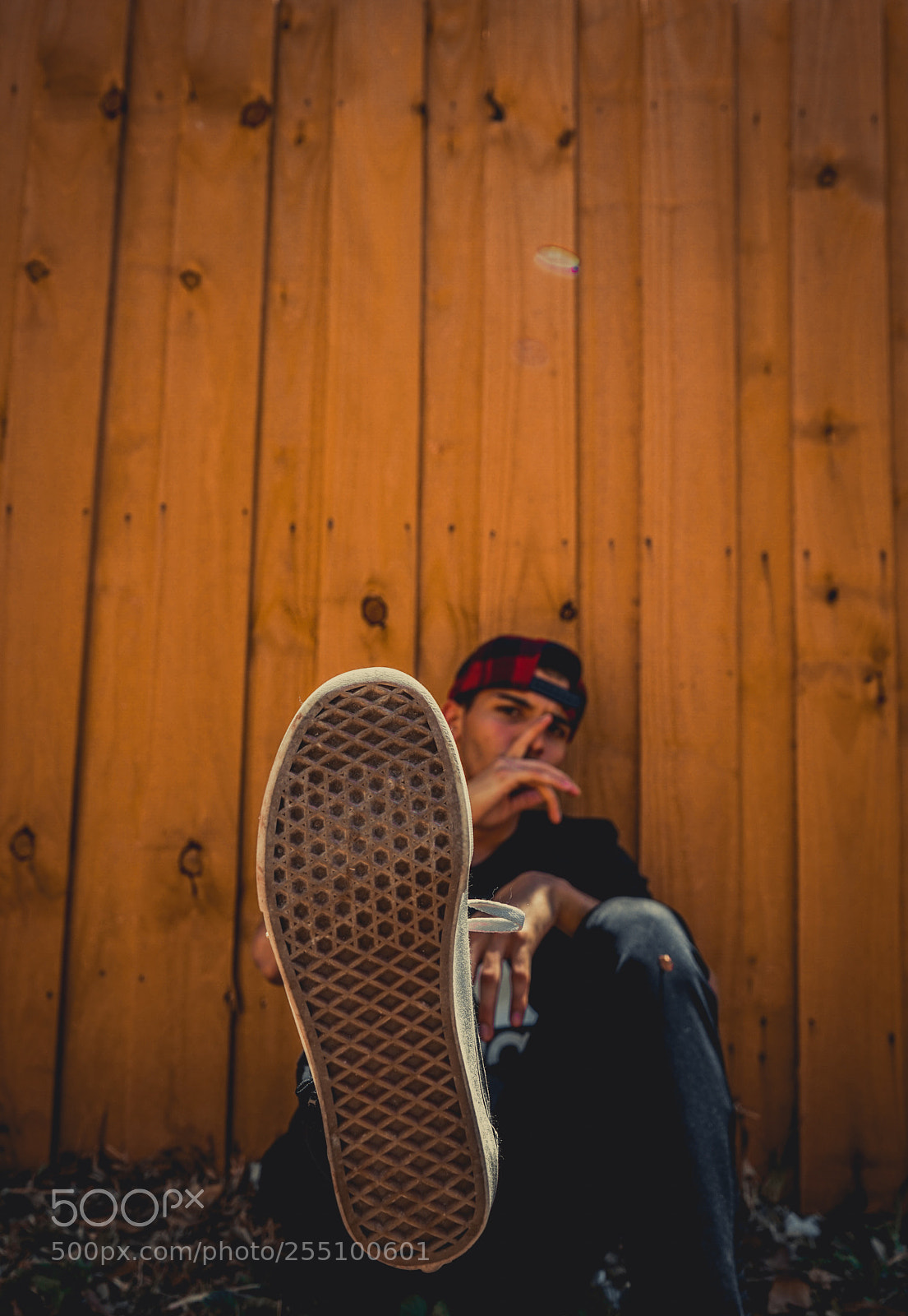 Sony a7 sample photo. Untitled photography
