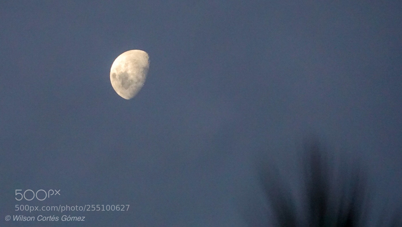 Sony a6000 sample photo. Siempre lunático photography