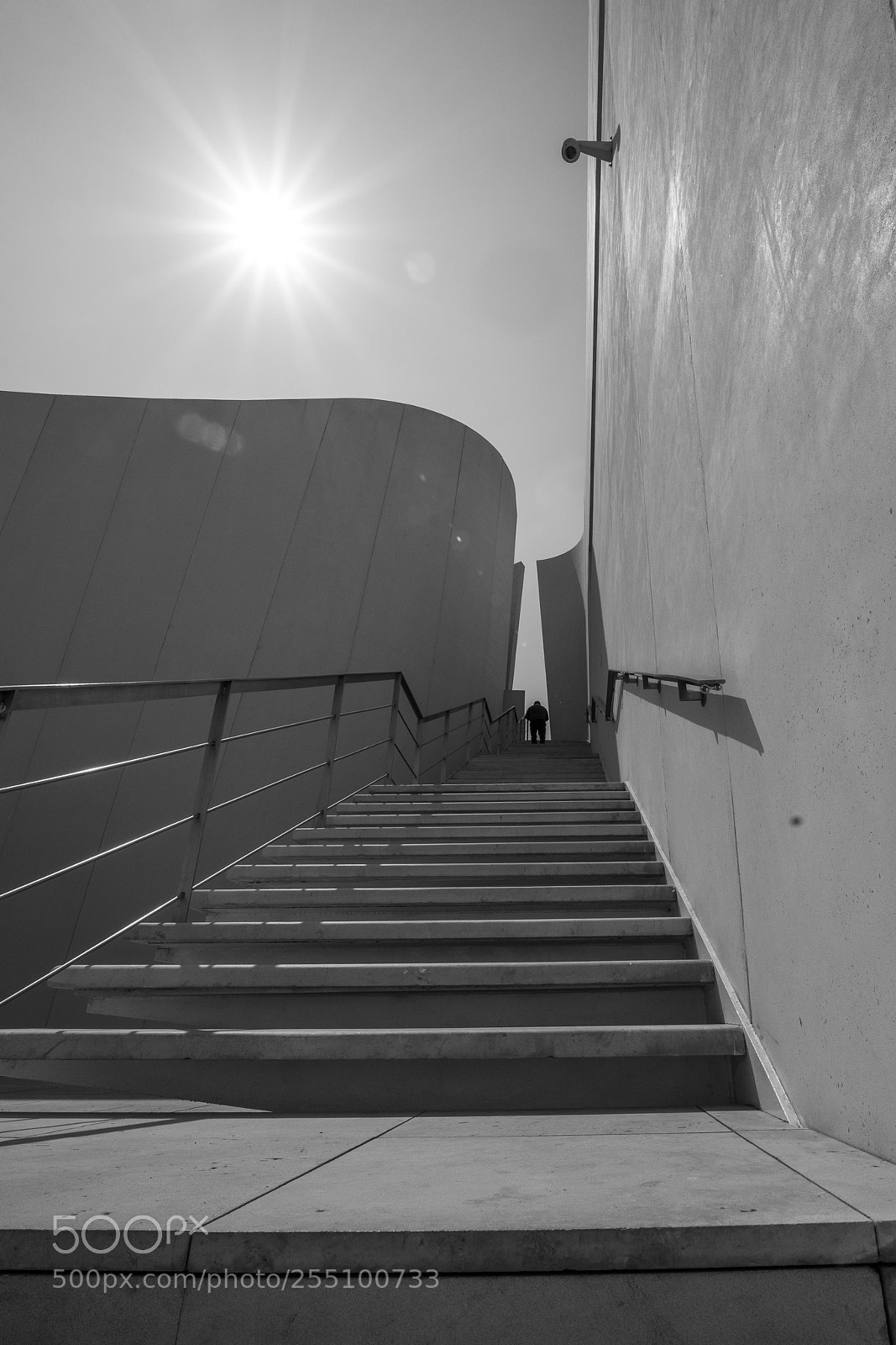 Sony a7R III sample photo. Perspectiva photography