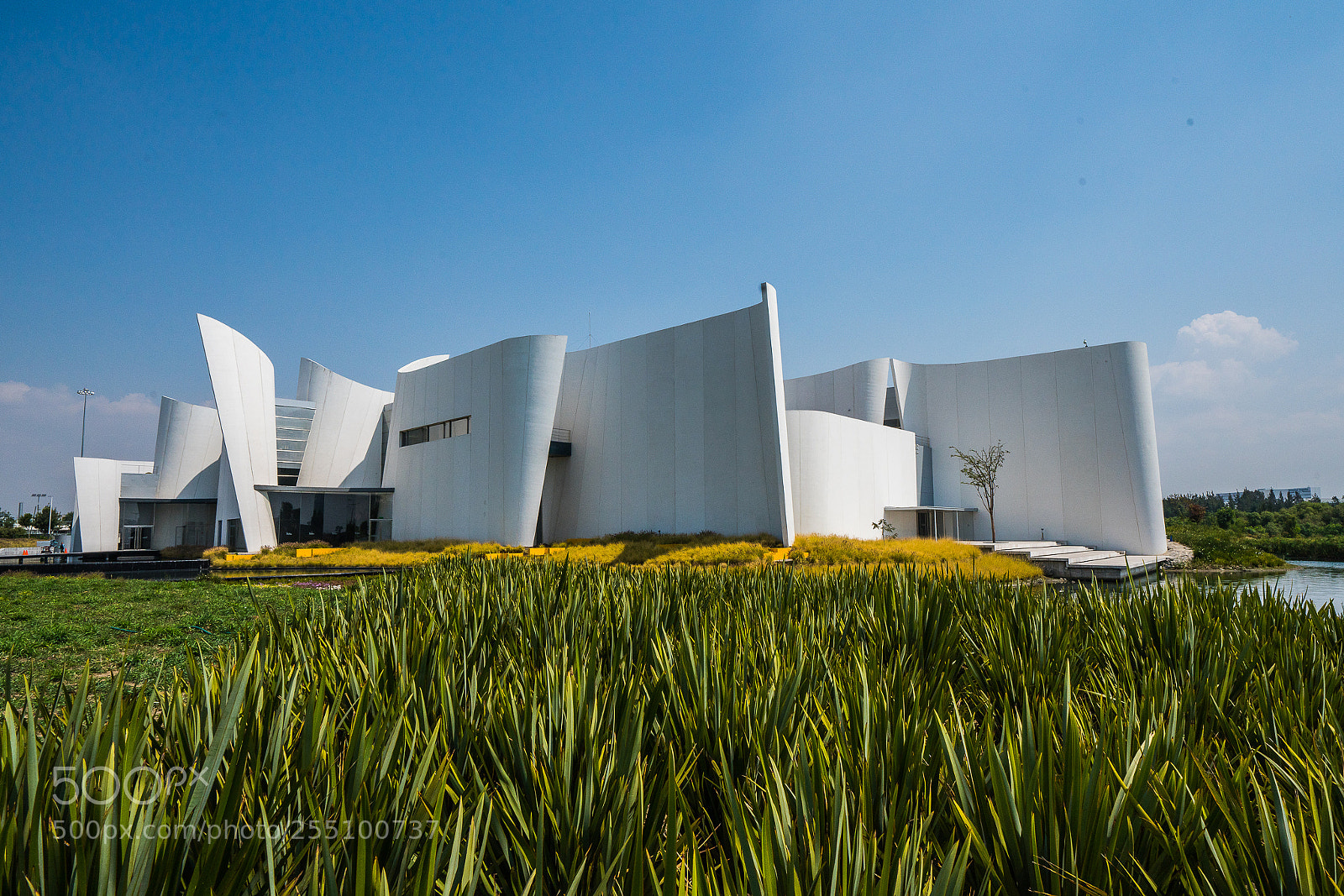 Sony a7R III sample photo. Museo del barroco photography