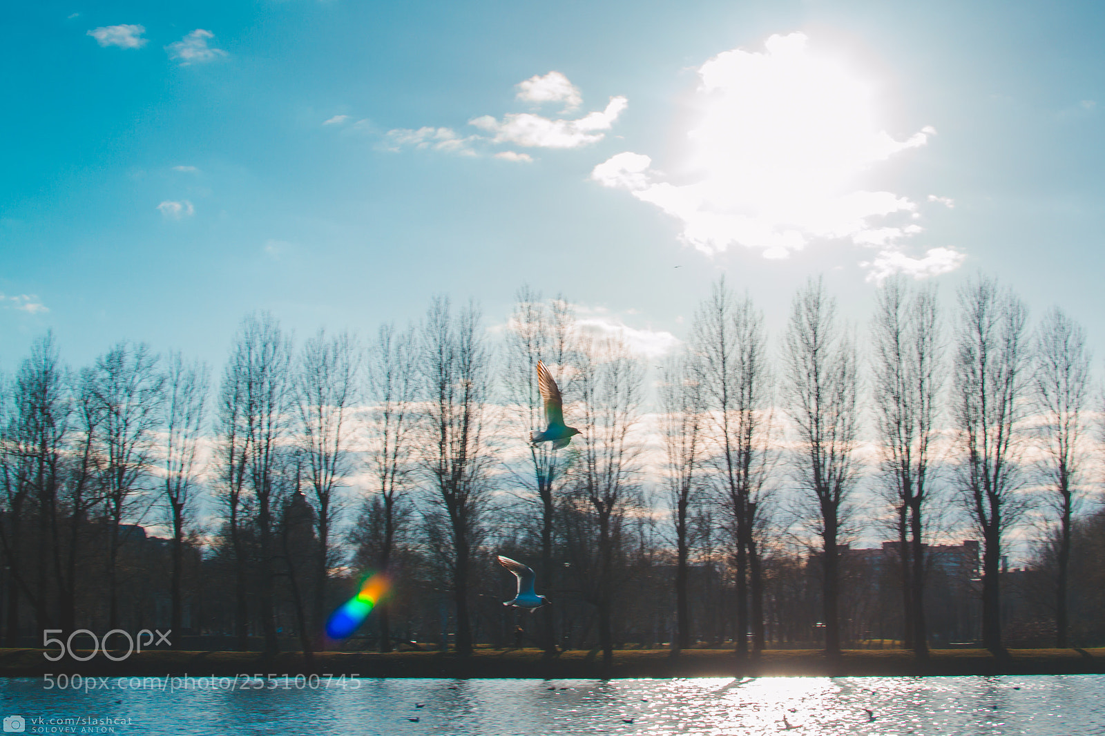 Nikon D3100 sample photo. Dream seeker photography