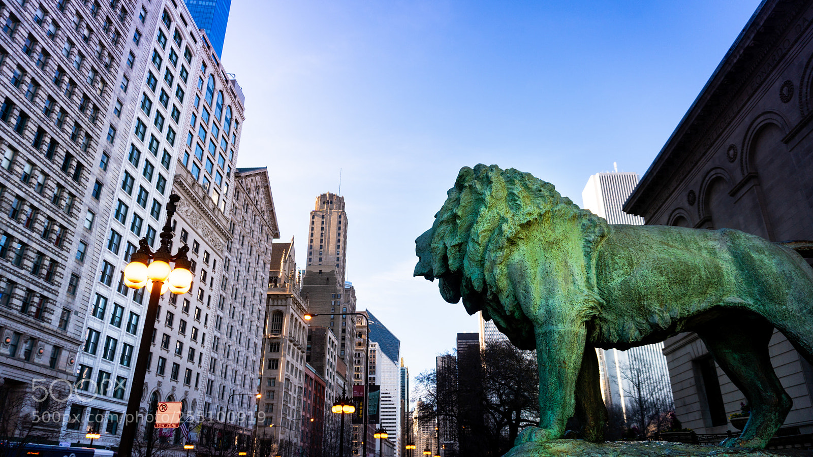Sony a6300 sample photo. The pride lion of photography