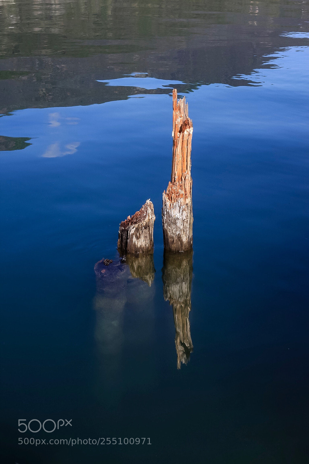 Canon EOS 5D Mark II sample photo. Untitled photography