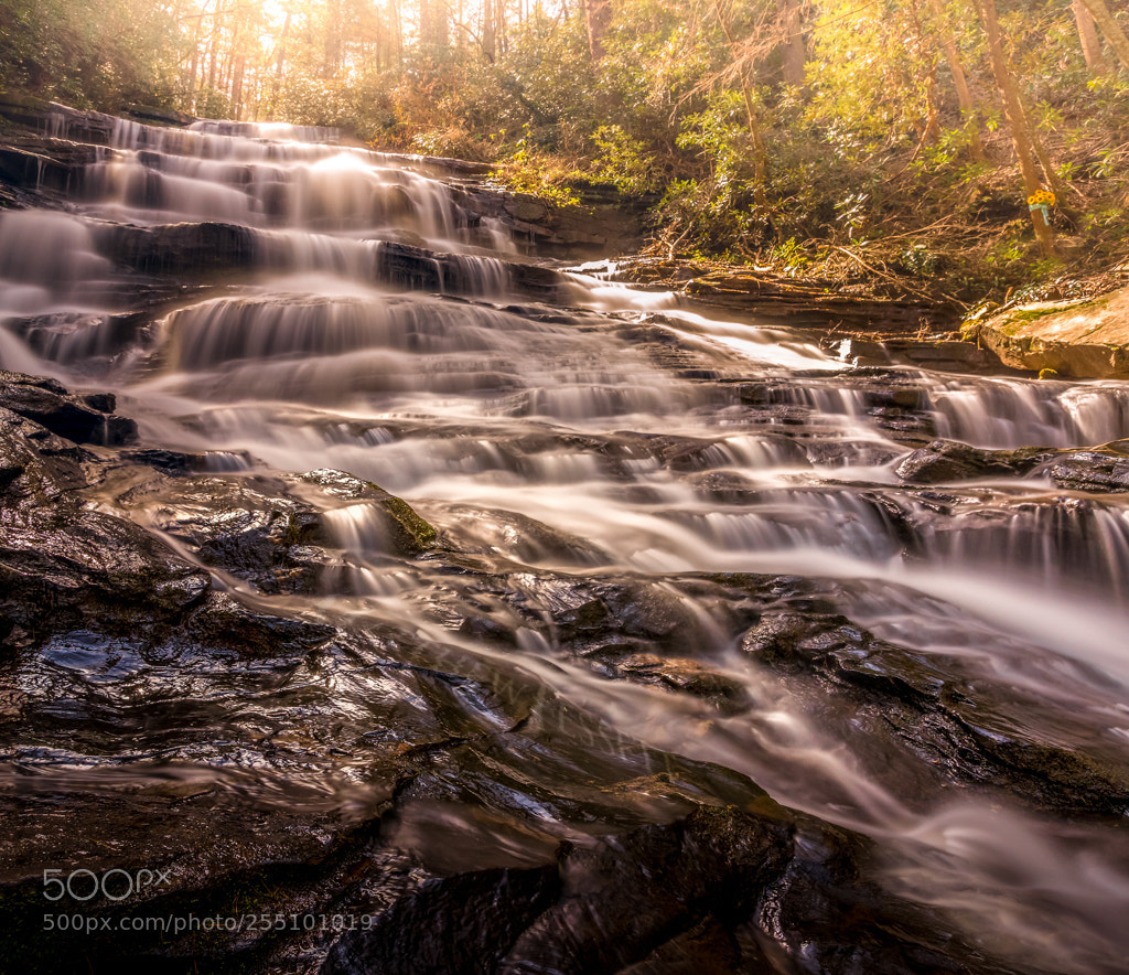 Sony Alpha NEX-6 sample photo. Rising falls photography