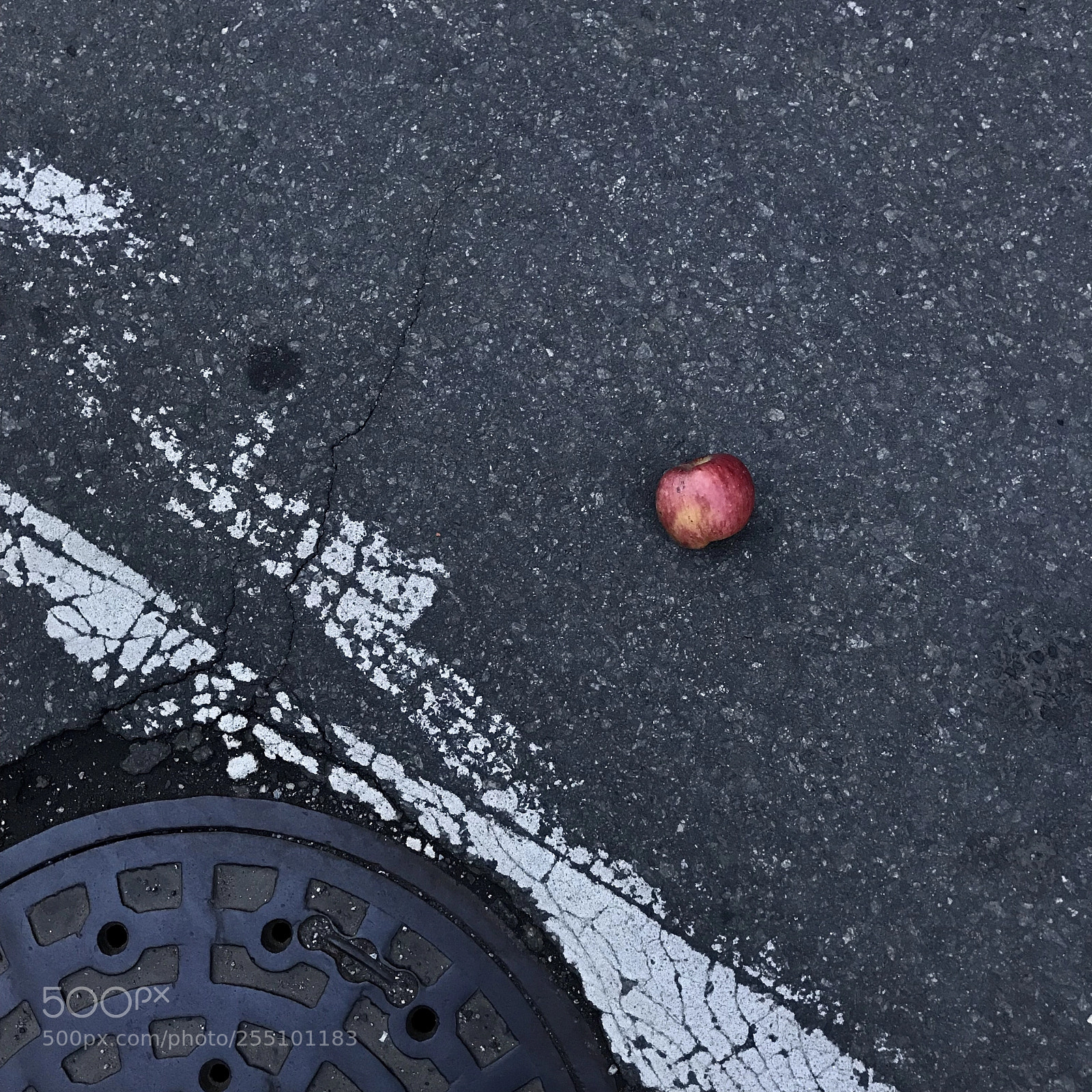 Apple iPhone 7 sample photo. Apple photography