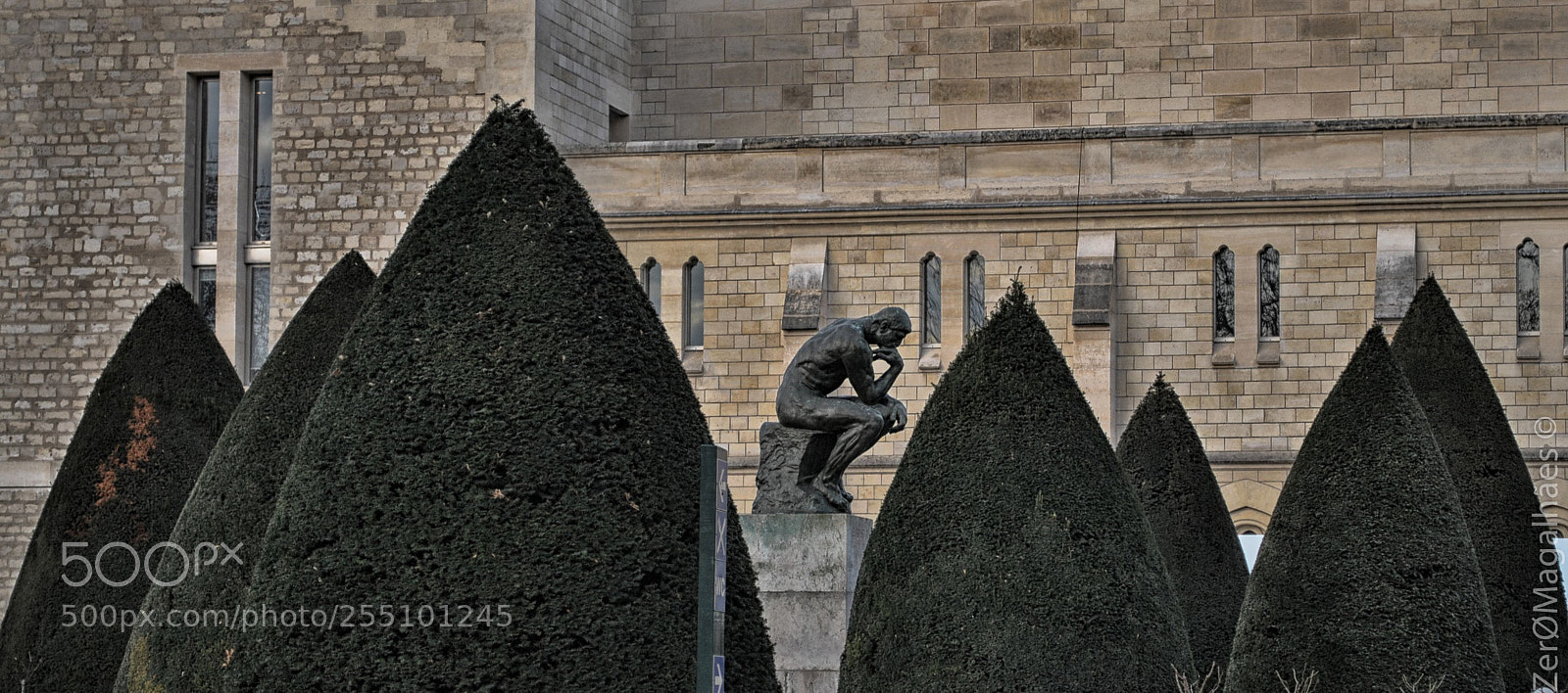 Nikon D3000 sample photo. O pensador photography
