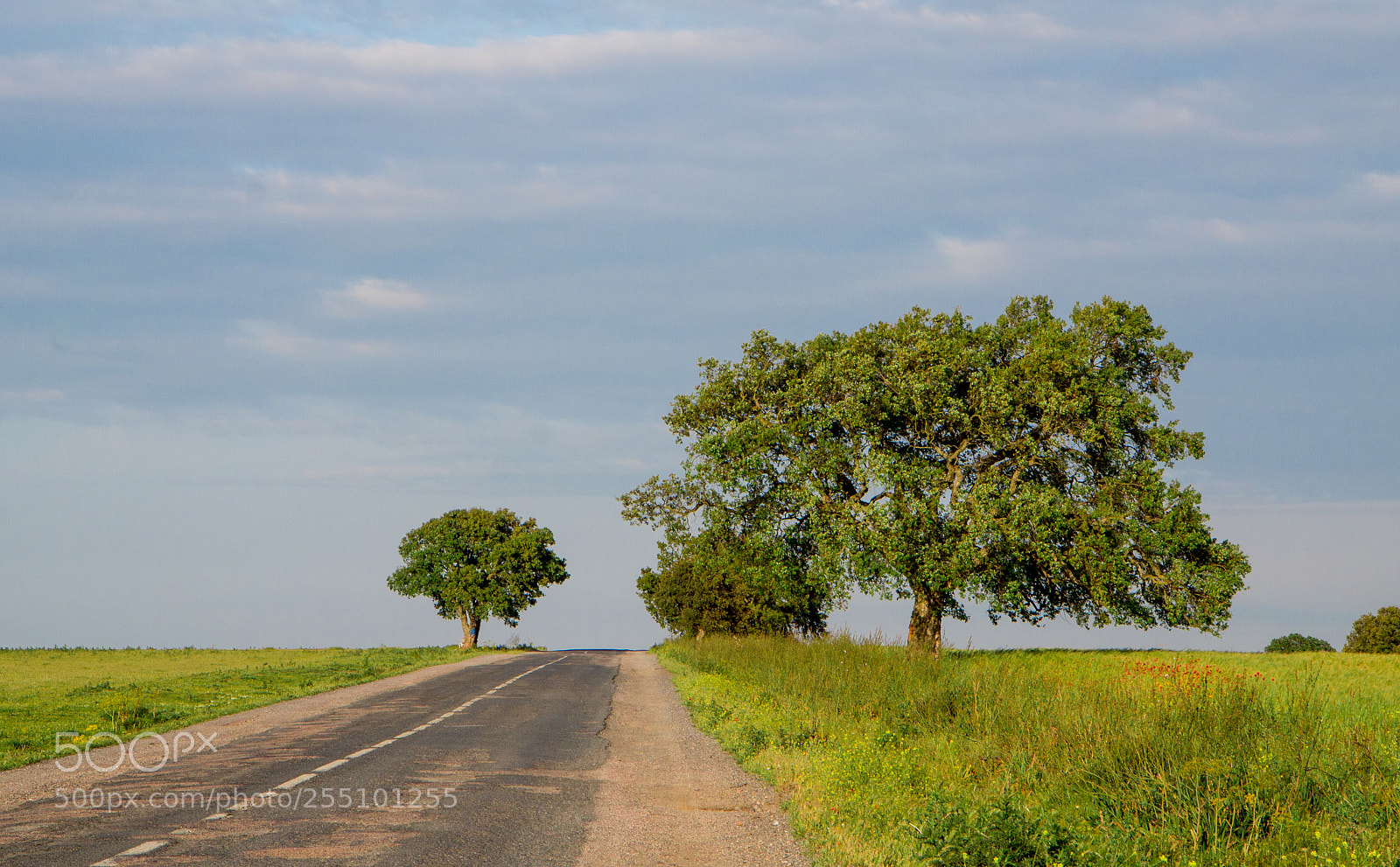 Canon EOS 70D sample photo. Road trip photography