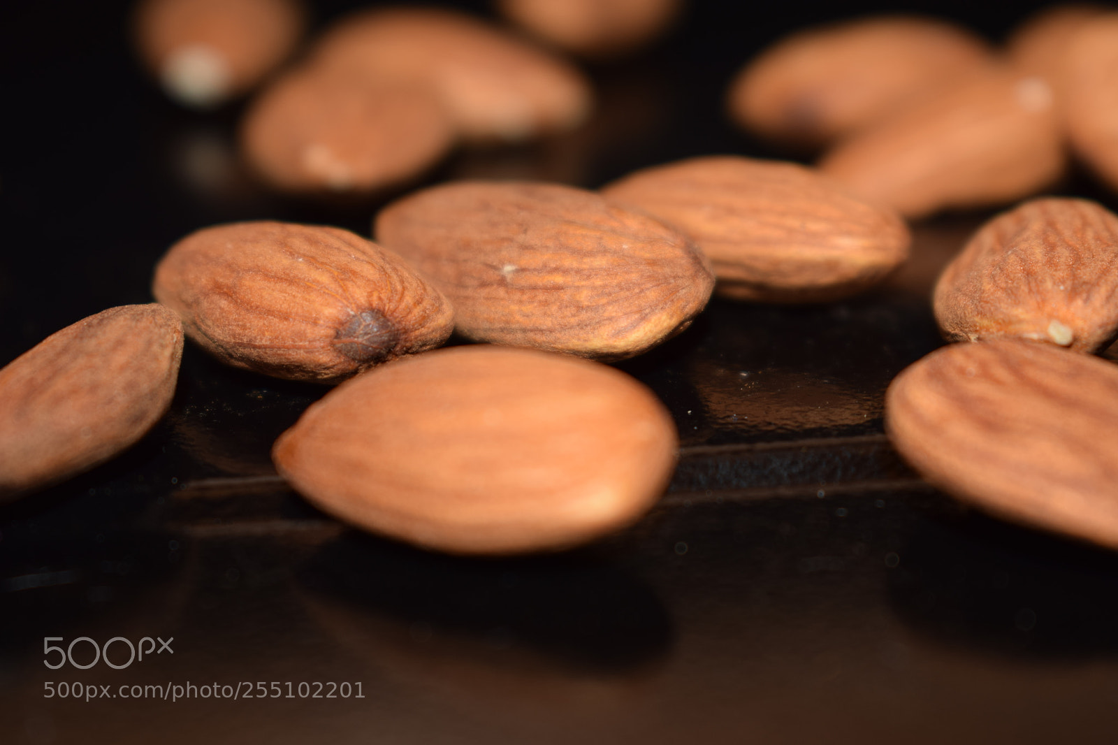 Nikon D5300 sample photo. Untitled photography