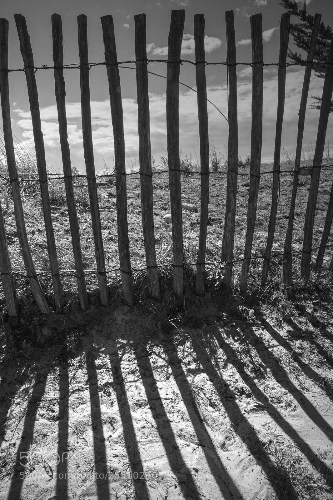 Nikon D7200 sample photo. Bars above and below photography