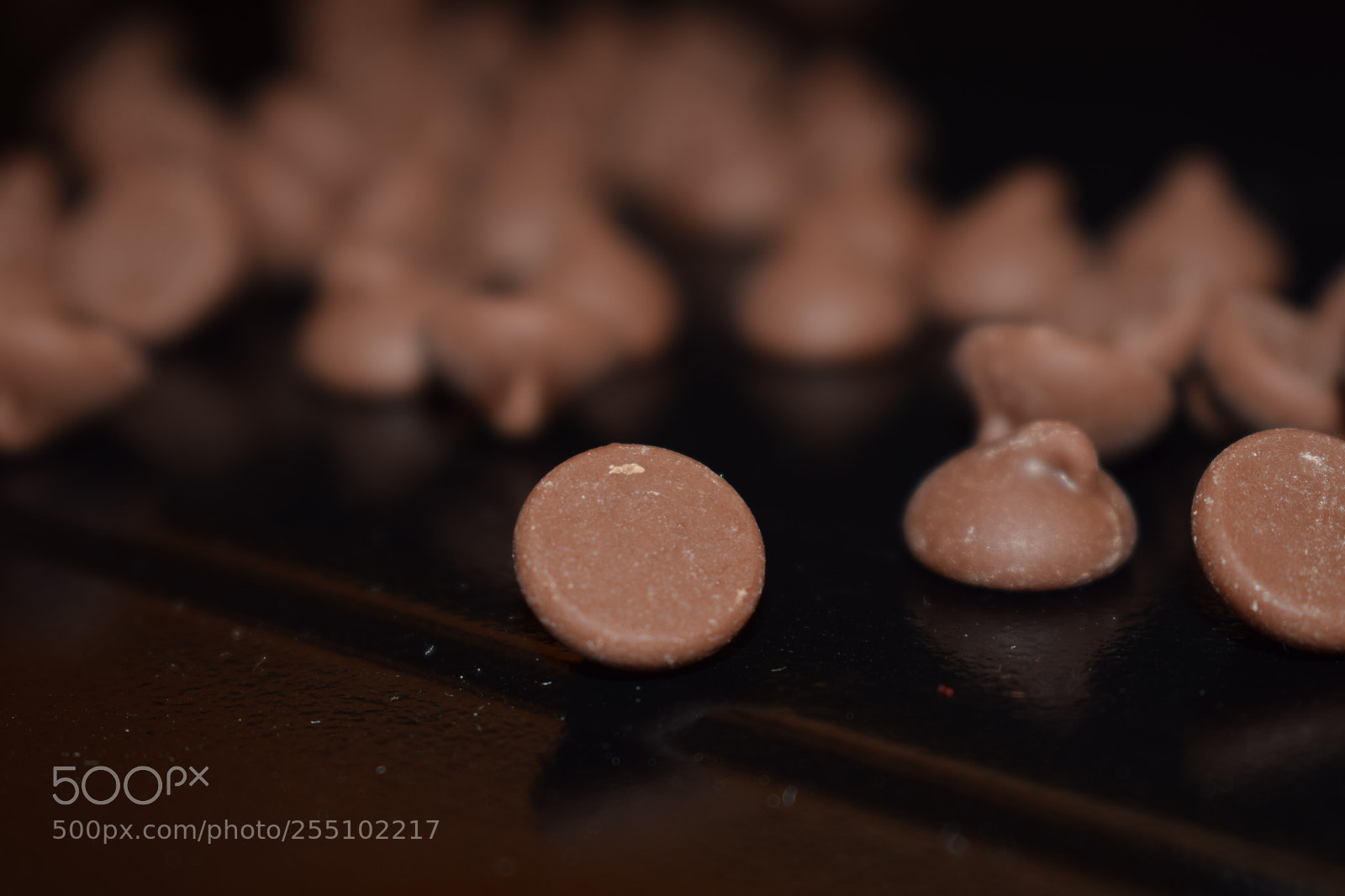 Nikon D5300 sample photo. Untitled photography