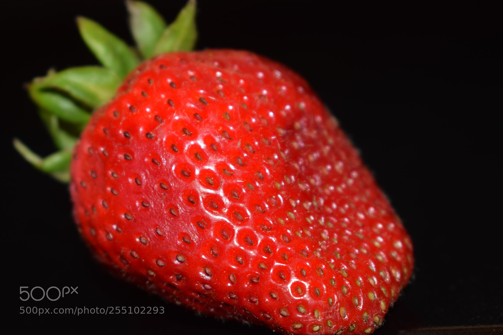 Nikon D5300 sample photo. Untitled photography