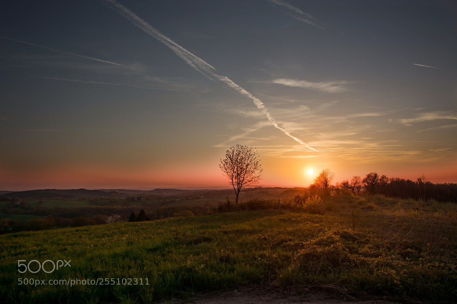 Nikon D7100 sample photo. Sunshine nizerolles (1/2) photography