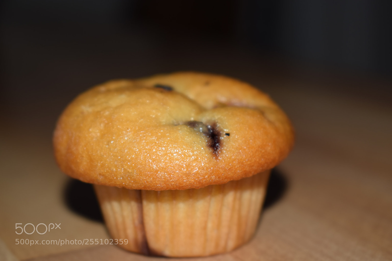 Nikon D5300 sample photo. Untitled photography