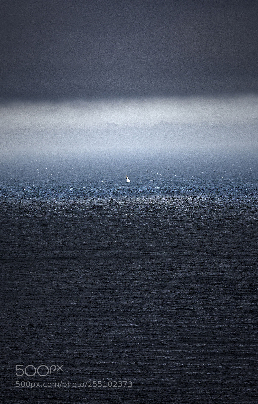 Nikon D7200 sample photo. White sailing in the photography
