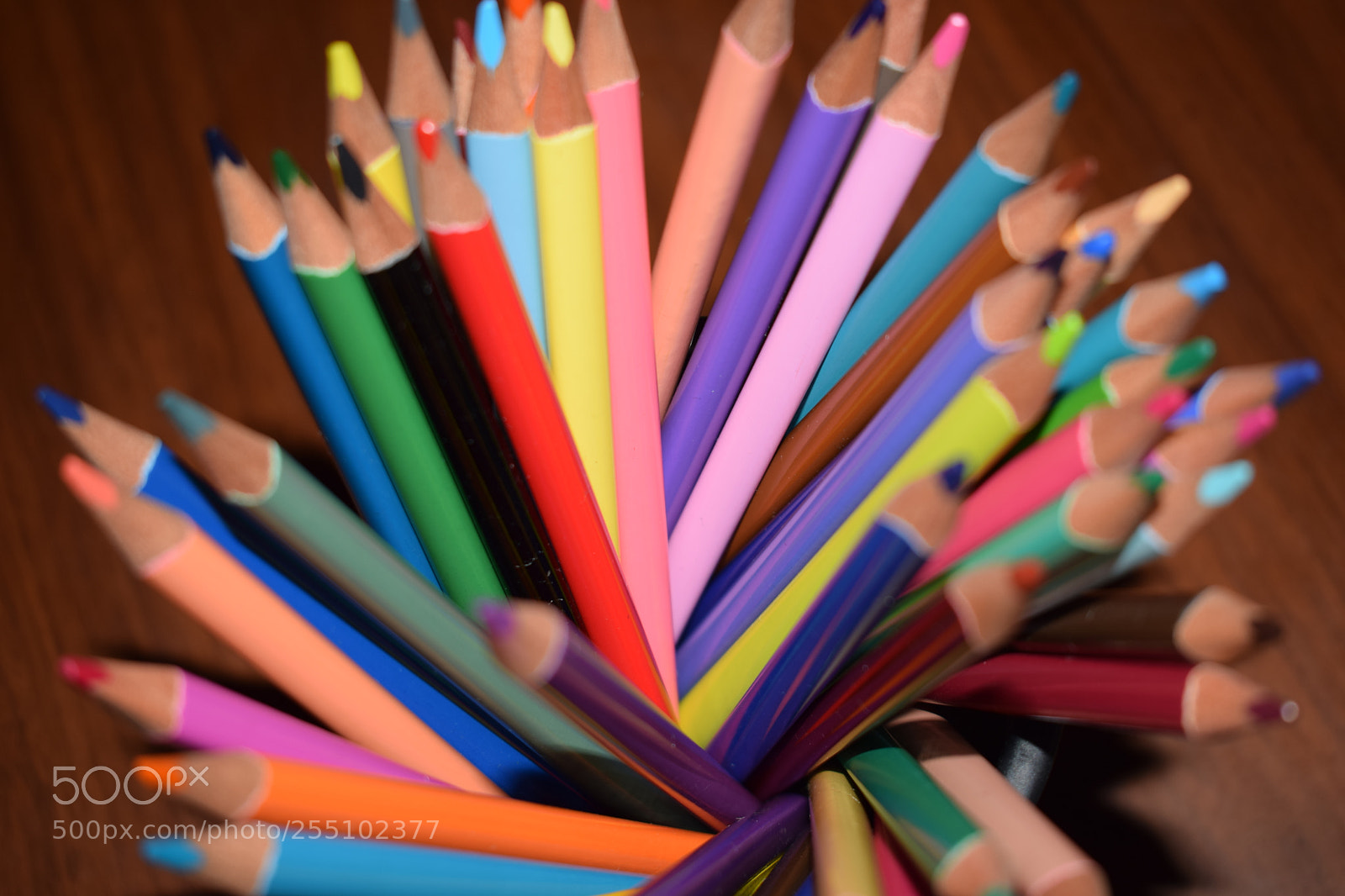 Nikon D5300 sample photo. Untitled photography