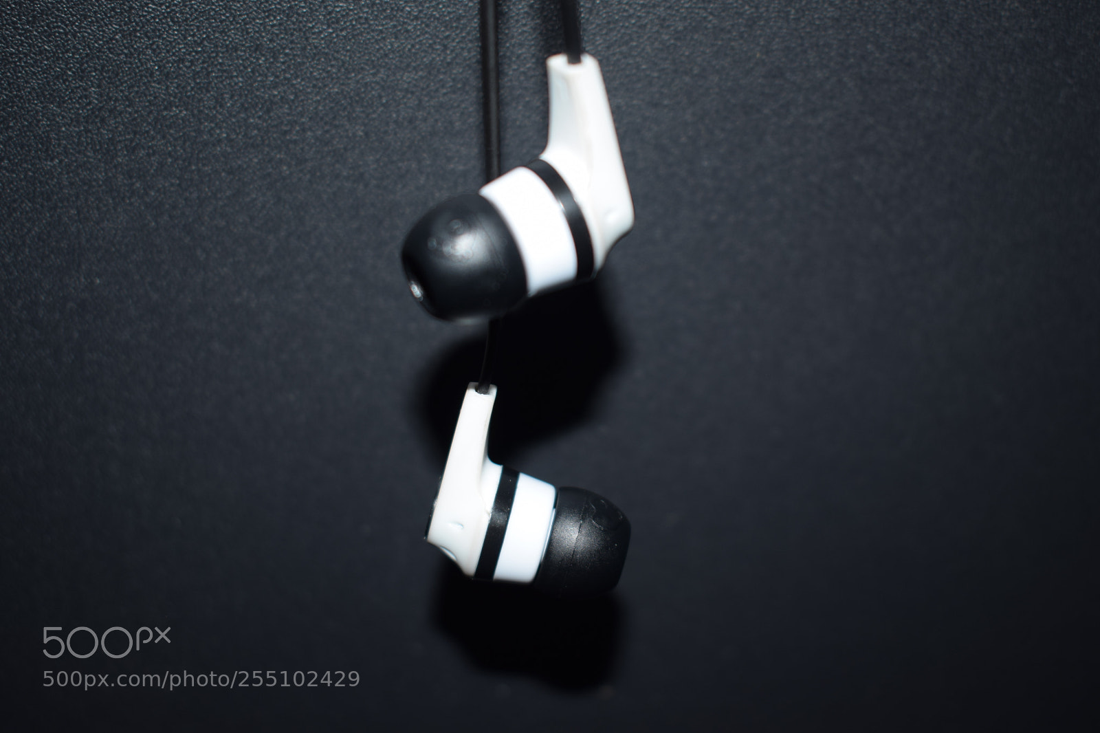 Nikon D5300 sample photo. Untitled photography