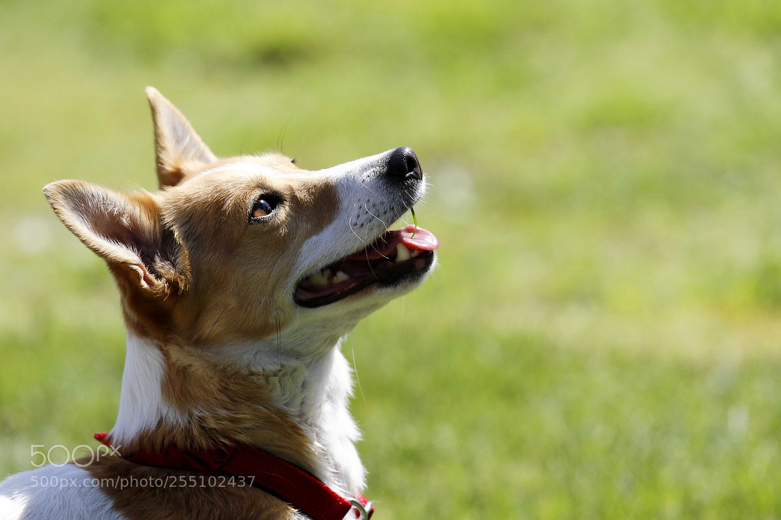 Canon EOS 7D Mark II sample photo. Untitled photography